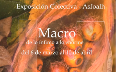 Exposición colectiva. “Macro, de lo ínfimo a lo enorme”