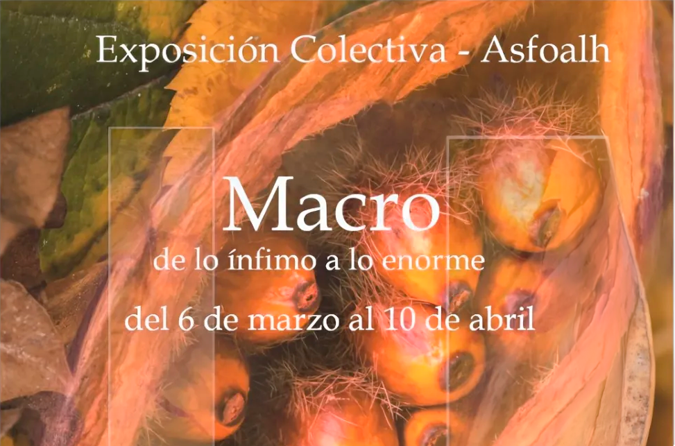 Macro_NuevoEnfoque_01